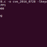 cve_2016_0728